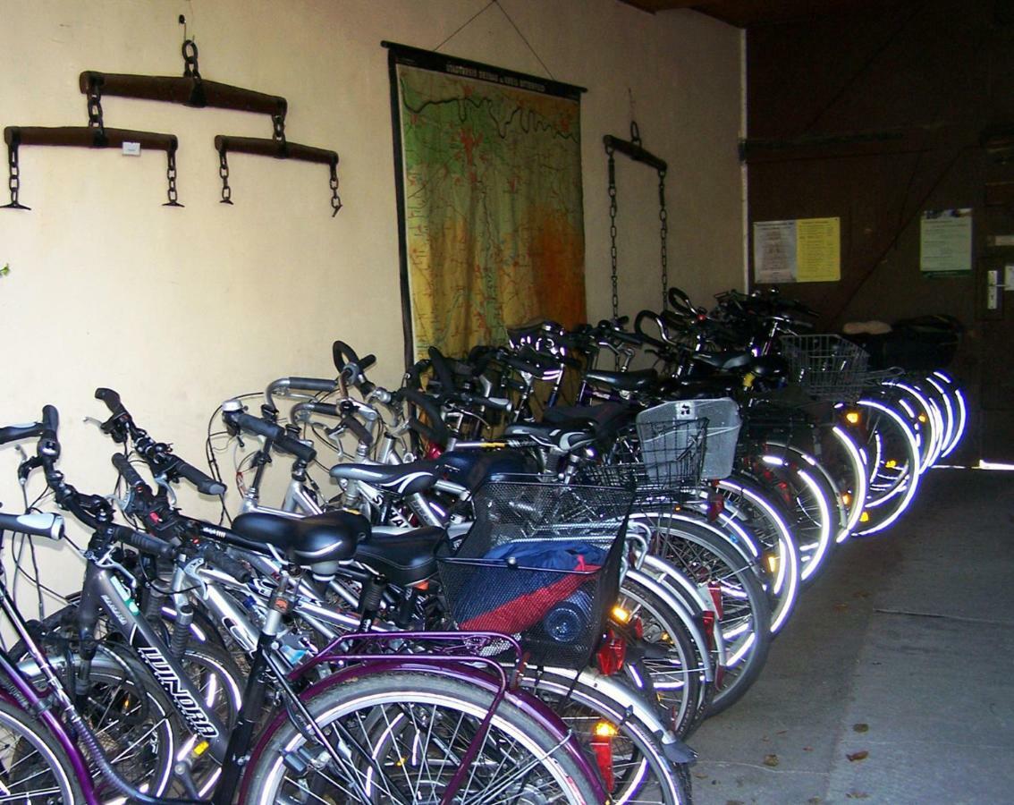 Pension Am Park Wörlitz Zewnętrze zdjęcie